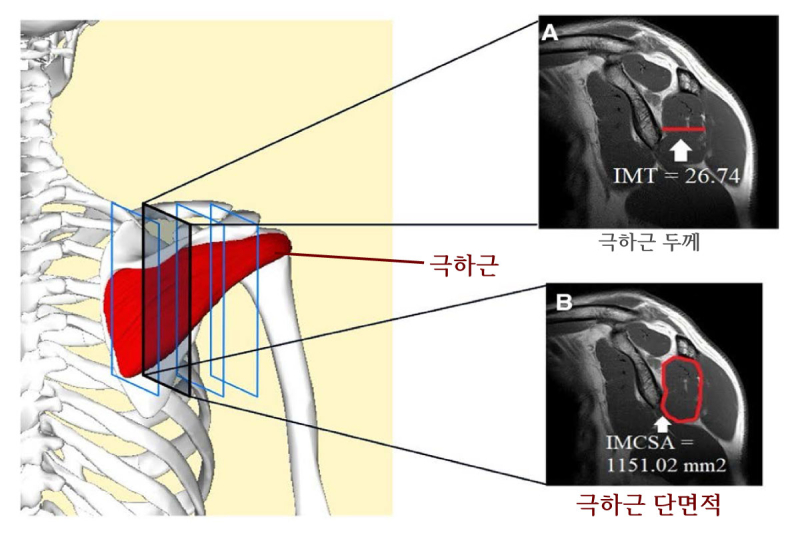 조제호 이미지
