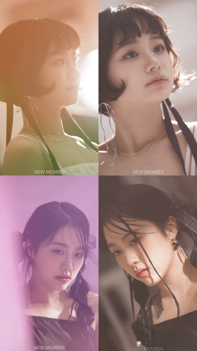 멤버(Member) 이미지