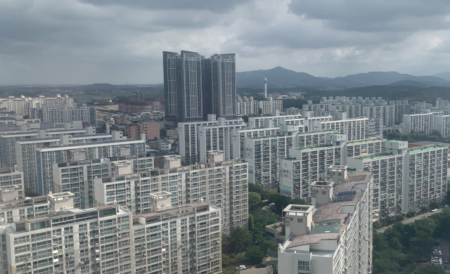 스카이라인주 이미지