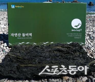 동해특산 이미지