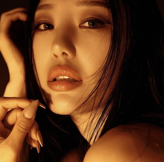 케익은! 이미지