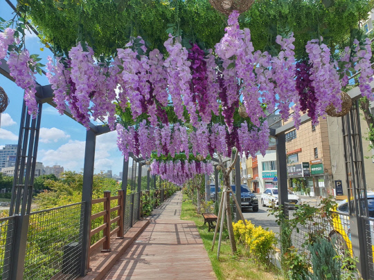 즈려밟고 이미지