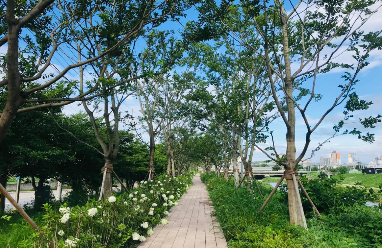 숲 이미지