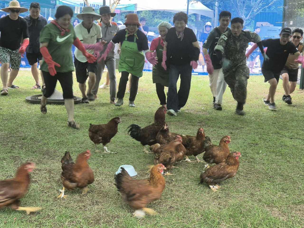 수목 이미지