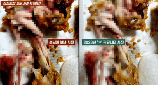 닭달치킨 이미지