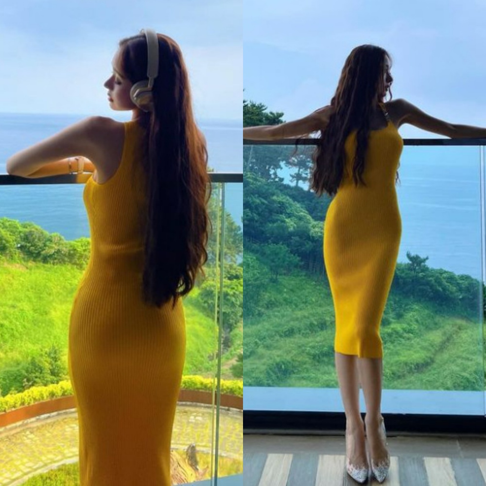 프리지아 이미지