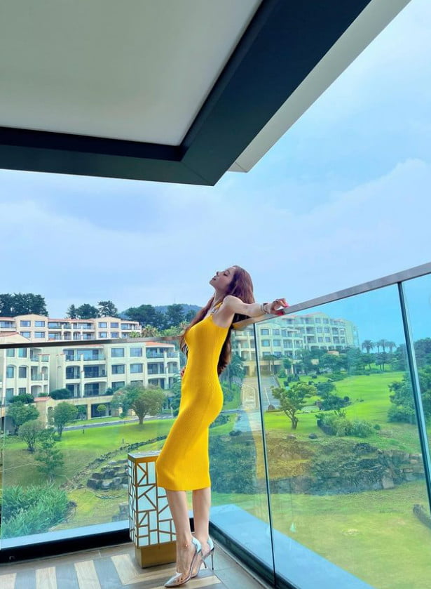 프리지아 이미지
