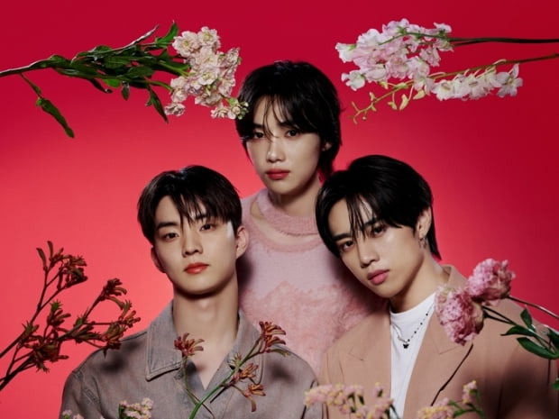 더뷰티(The Beauty) 이미지