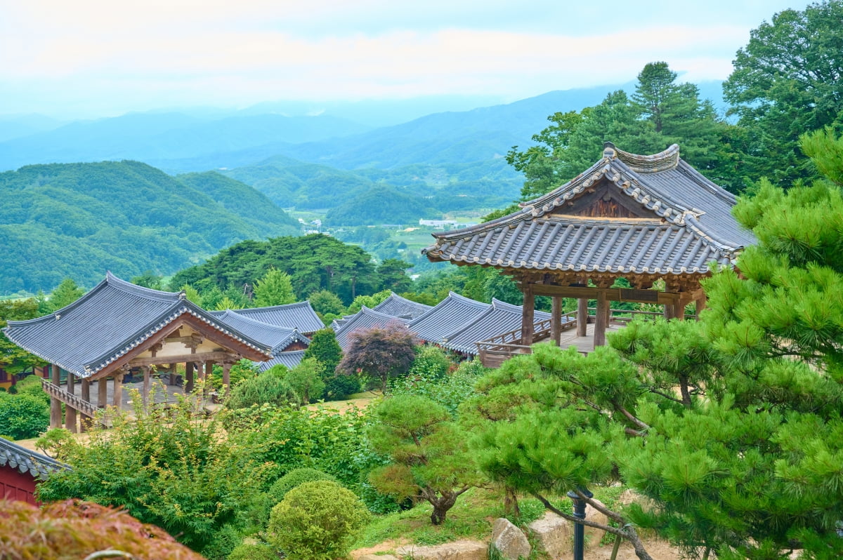 영주 이미지