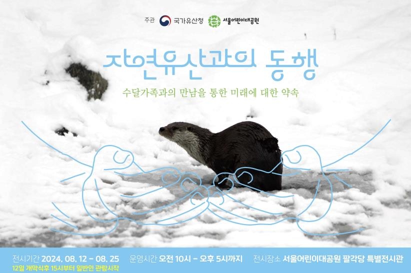 두루청과 이미지
