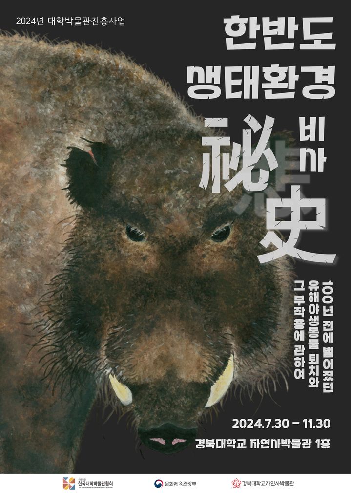 한반도기획 이미지