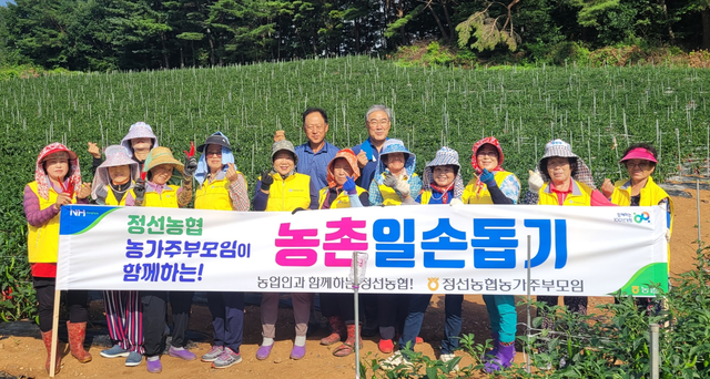 정선농업협동조합 이미지
