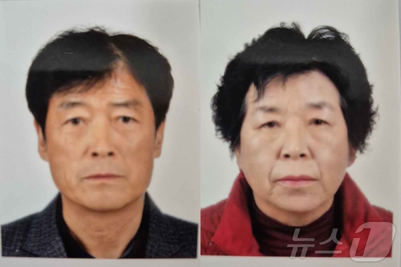 늘푸름개발 이미지