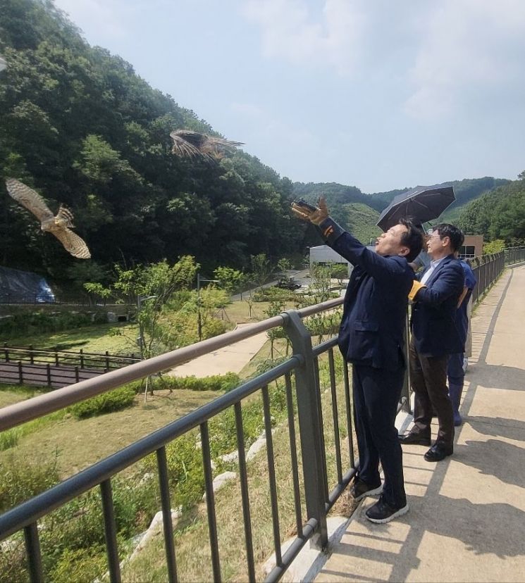 자연에서 이미지