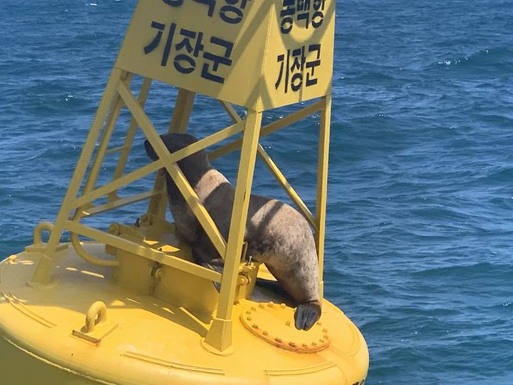 바다에앉아서 이미지