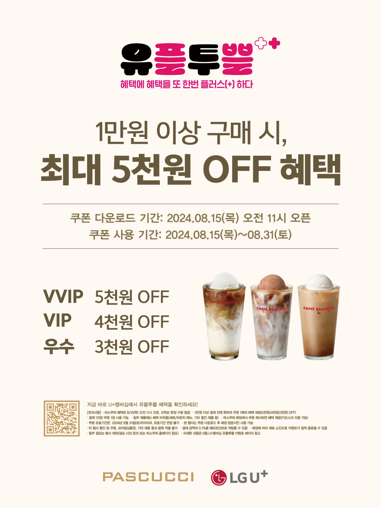 파스쿠찌 이미지