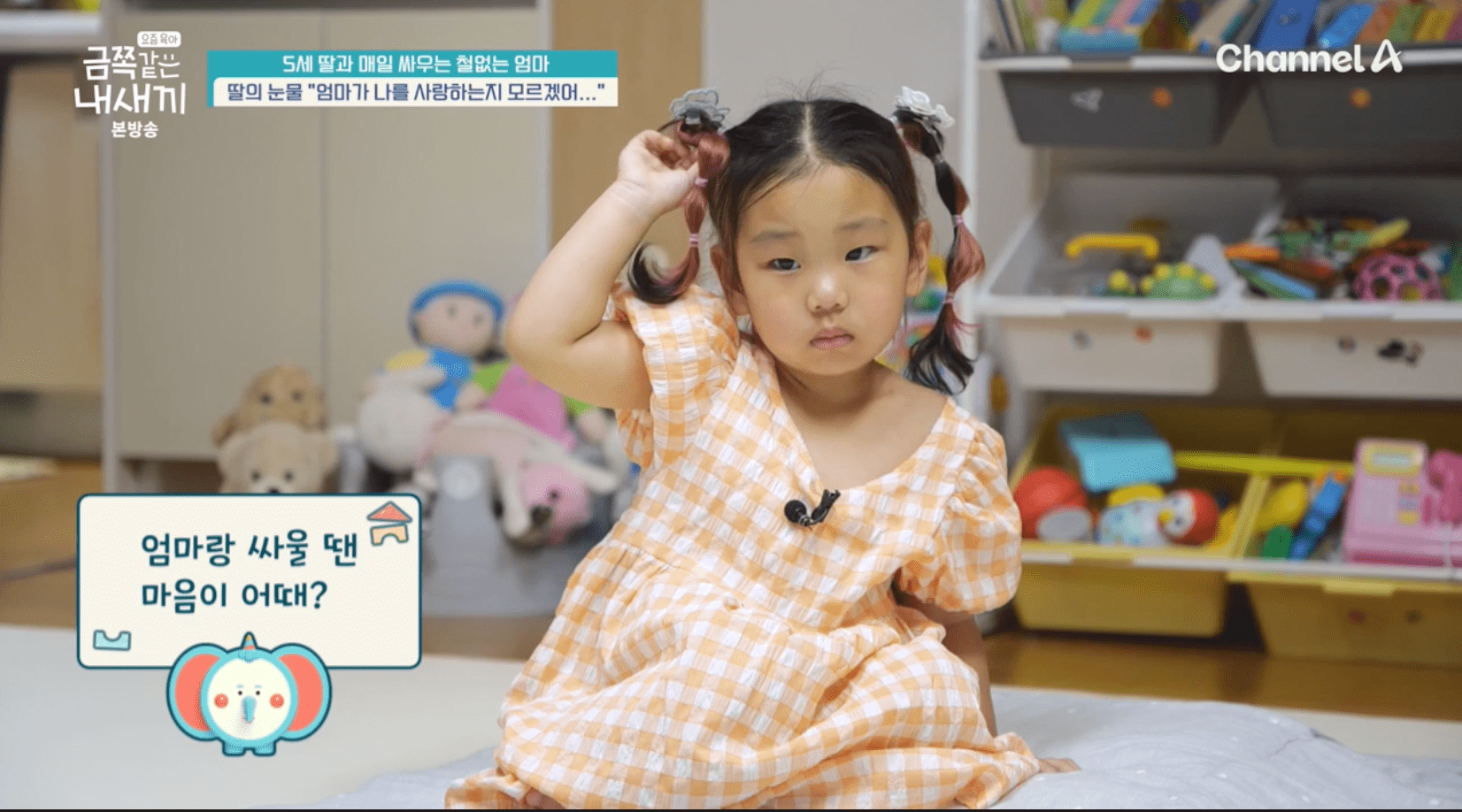 금쪽 이미지