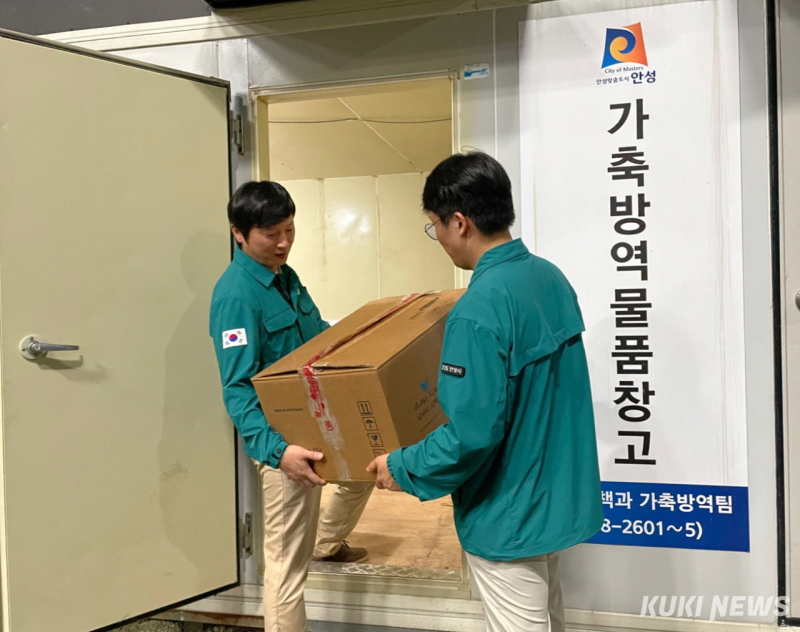 럼피 이미지
