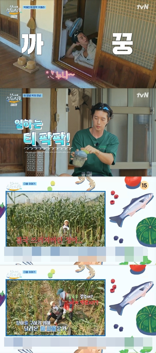 언니네손맛 이미지