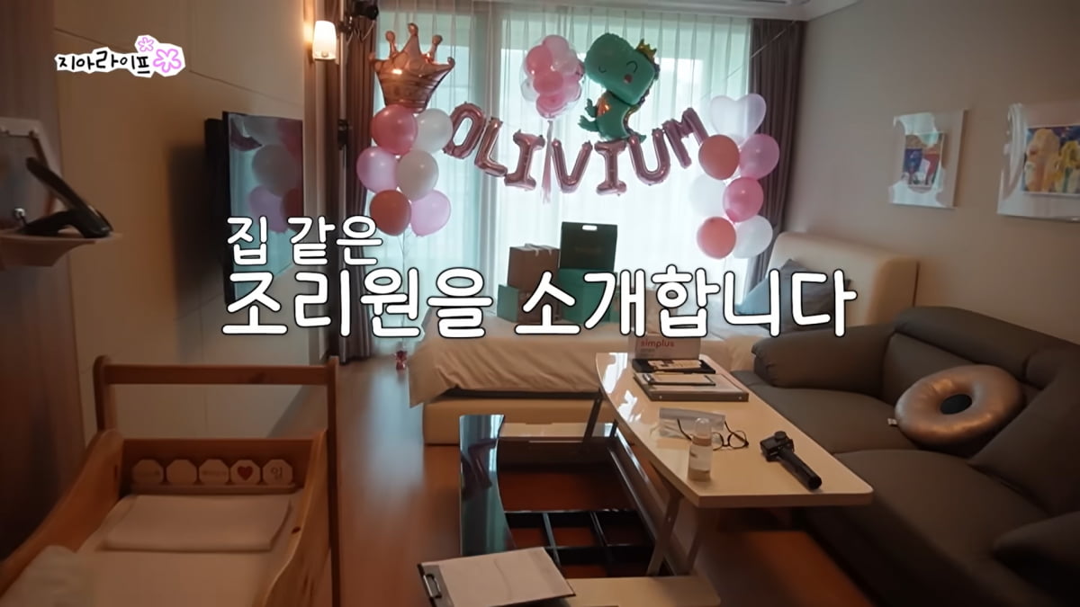 이프 이미지