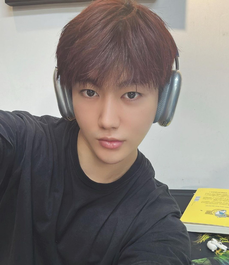진화로 이미지