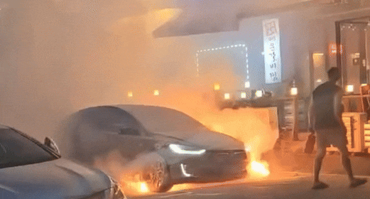 온라인 커뮤니티 '에펨코리아'에 올라온 용인 테슬라 화재 모습. / 온라인 커뮤니티