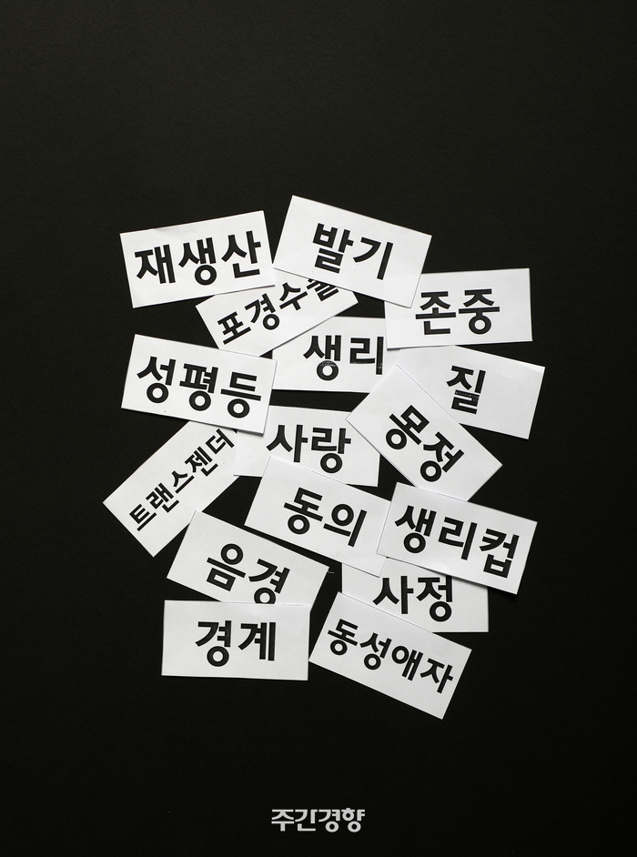 한국청소년게임문화협의회 이미지