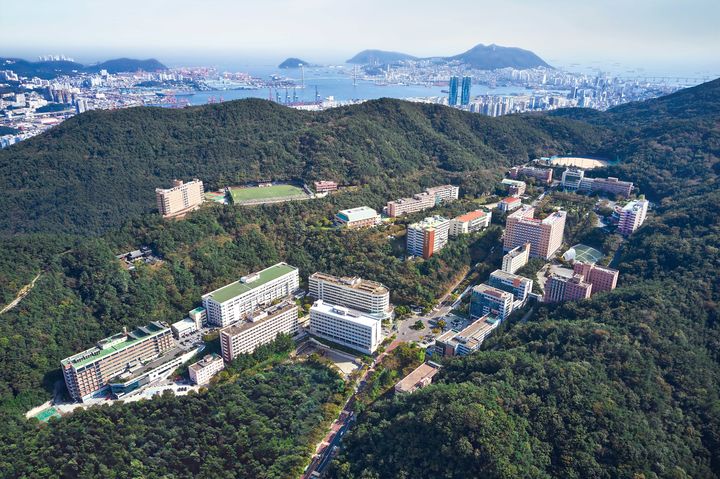 이디야동의대 이미지