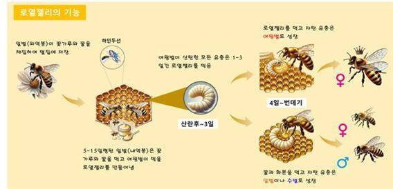 청은식품 이미지