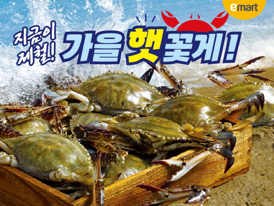 해요 이미지