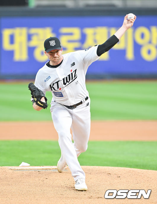 벤자민 이미지