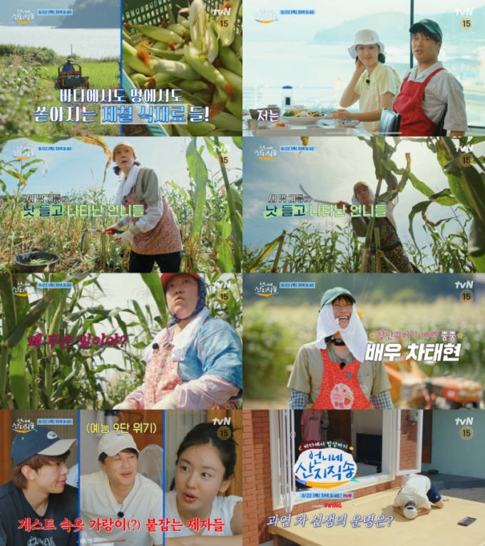 백단 이미지