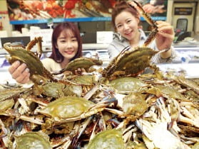 서해안마트 이미지