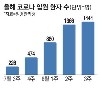 정점 이미지