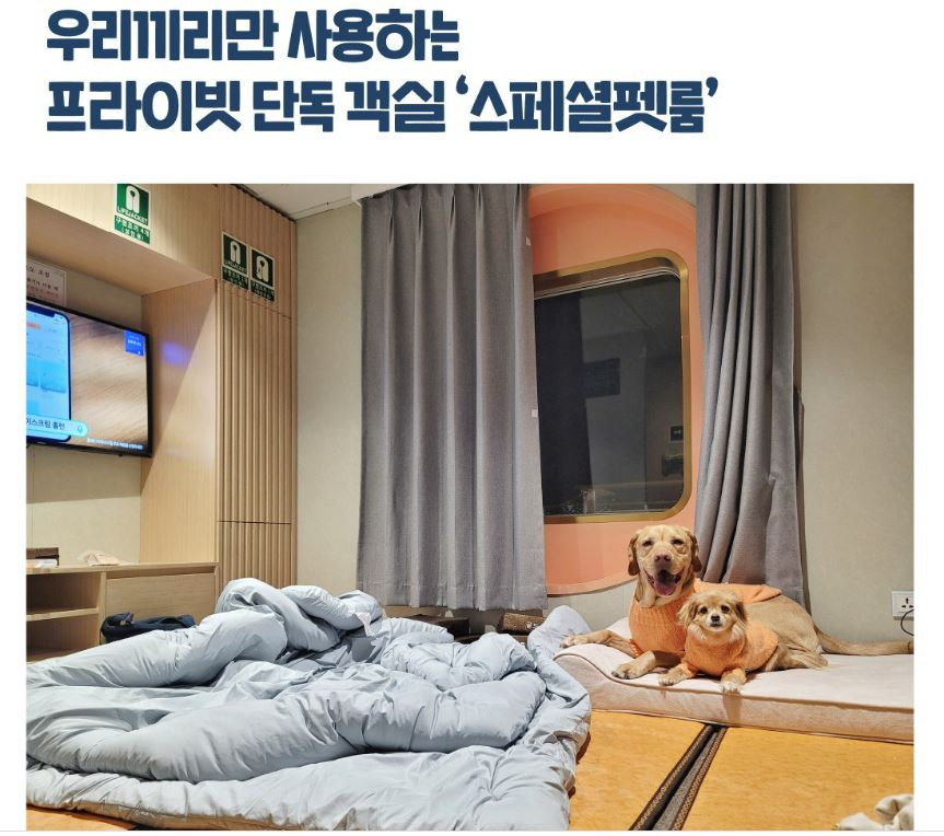 댕댕이풀빌라 이미지