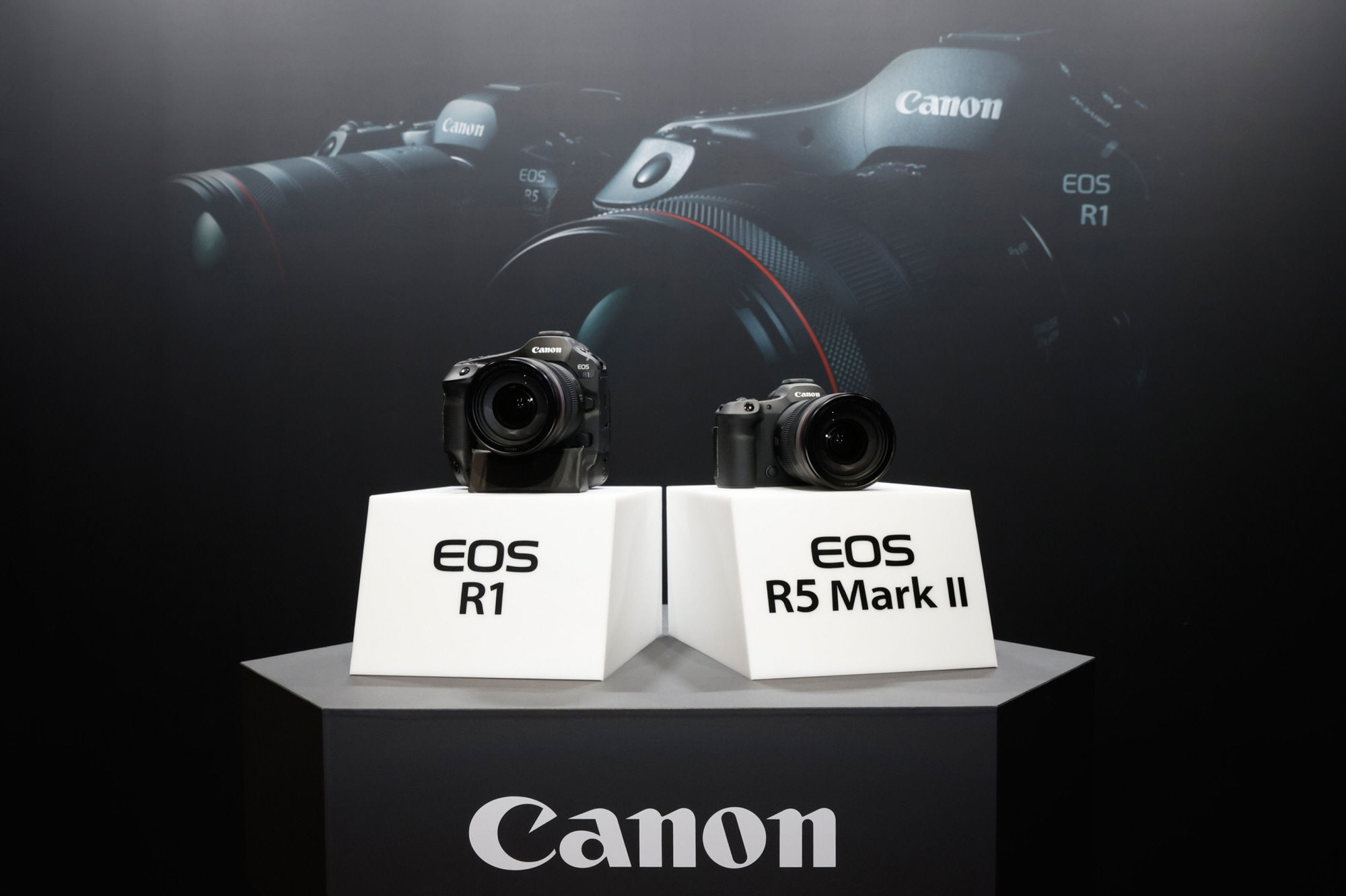 Eos R1 R5 캐논 야심작, EOS R 신제품 'EOS R1, EOS R5 Mark 2' 출시 | 오토다이어리