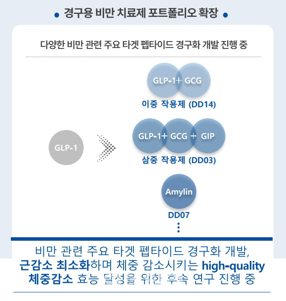 디앤디 이미지