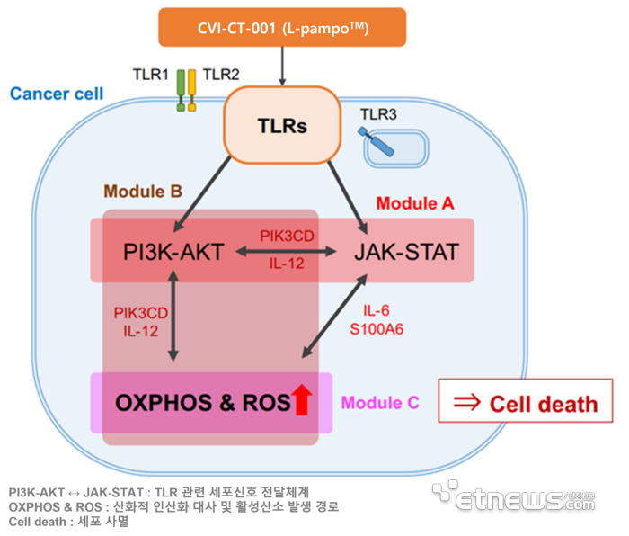 데이터디자인연구소 이미지