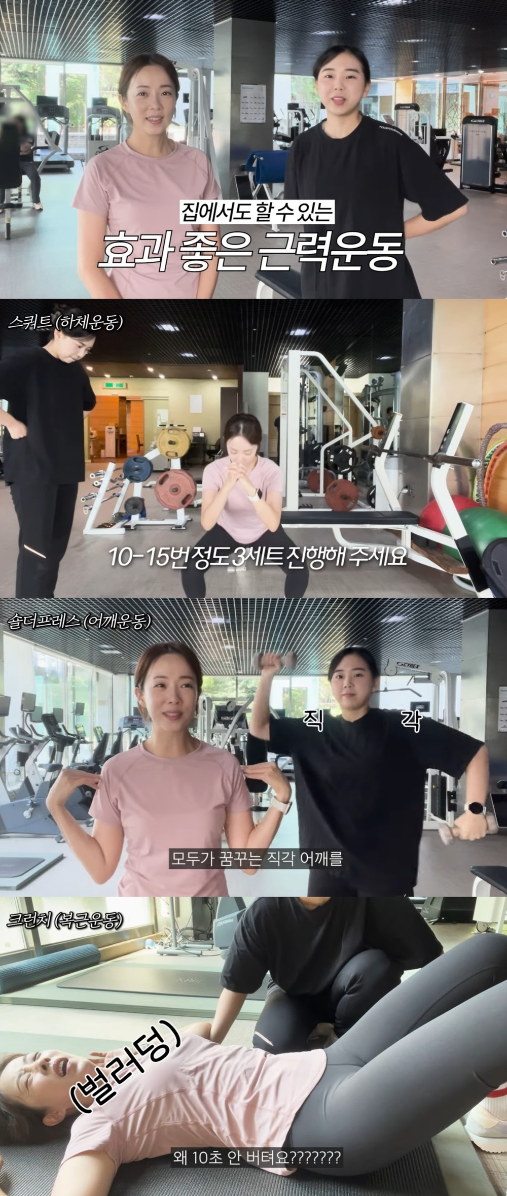 모르나 이미지