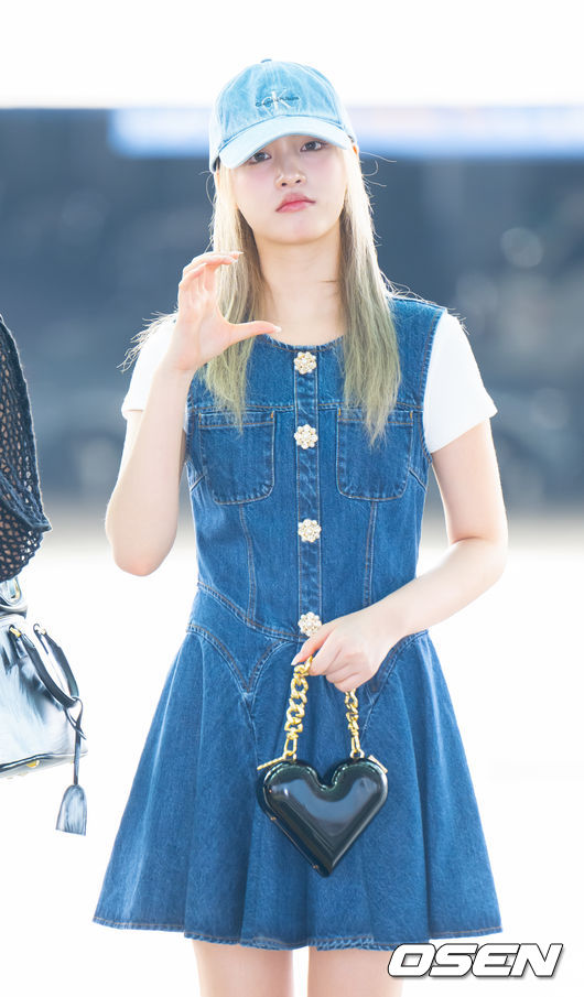 리즈 이미지