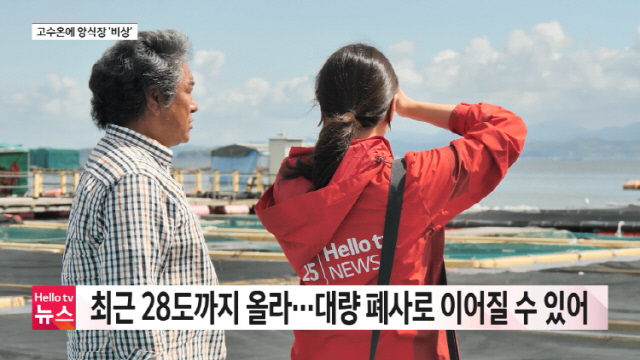 헬로헬로 이미지