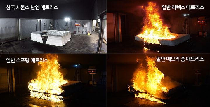 텐데 이미지