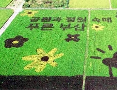 들녘에 이미지