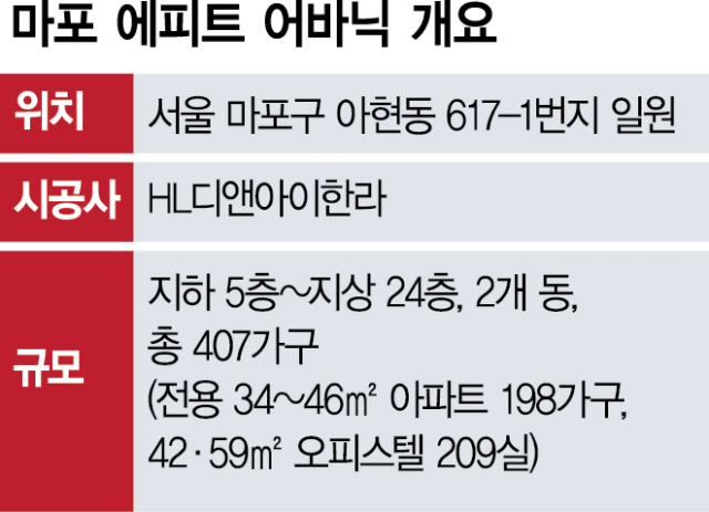 디앤아이 이미지