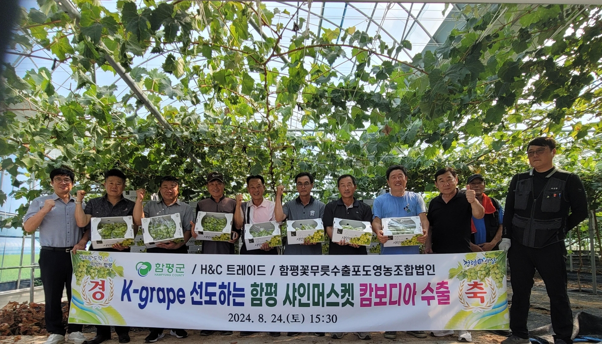 함평 이미지