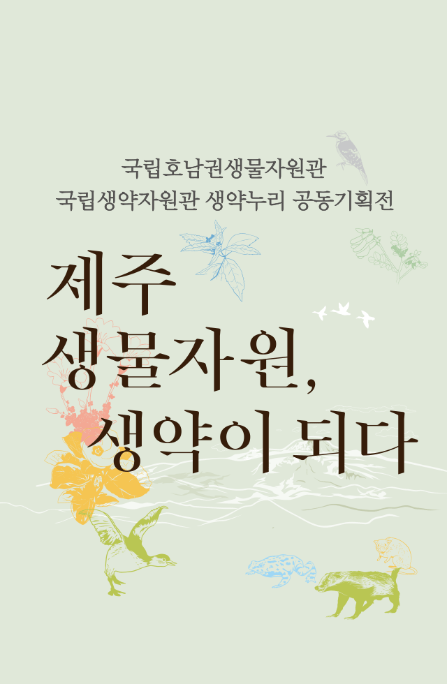 ▲ '제주 생물자원, 생약이 되다' 기획 전시회 포스터 [국립호남권생물자원관]