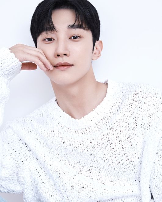 진영 이미지