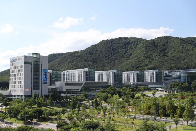 자유롭게 이미지