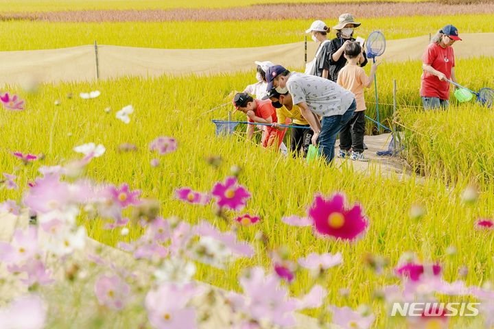 축제의땅 이미지