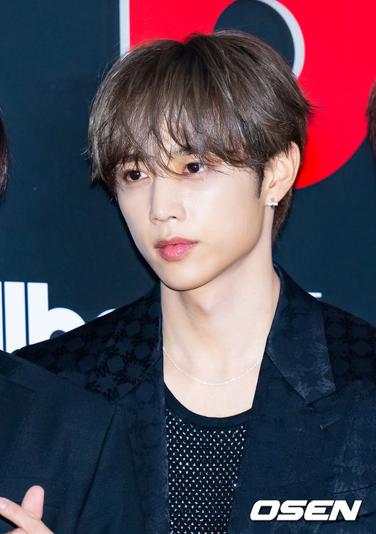 선우조명 이미지